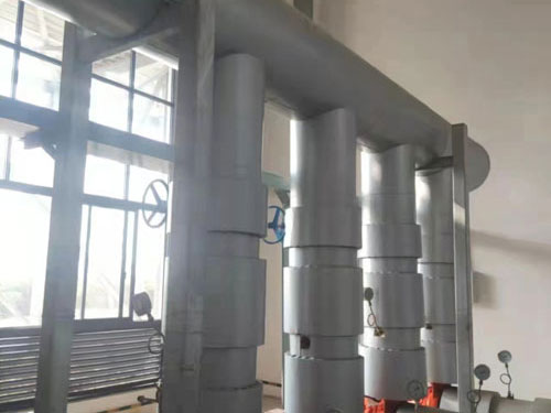 南通罐体保温工程 2025年12月31日全国主要批发市场菜苔价格行情